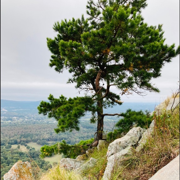 Meet your Posher, Kayla - Picture 1 of 1